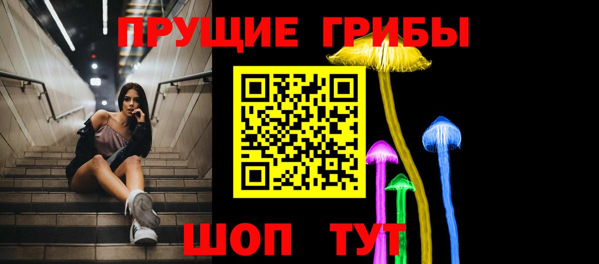 Псилоцибиновые грибы Psilocybine cubensis Ливны